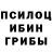 Галлюциногенные грибы Cubensis PaKeTuK YT