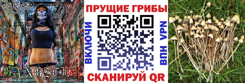 Псилоцибиновые грибы GOLDEN TEACHER купить закладку Углич