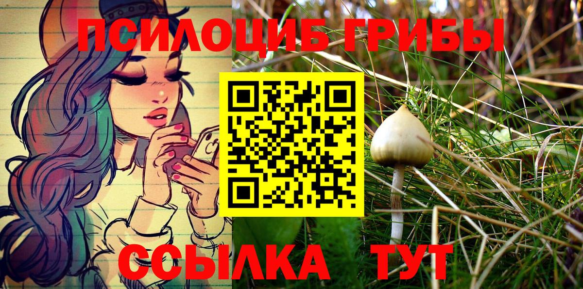 Галлюциногенные грибы прущие грибы Углич