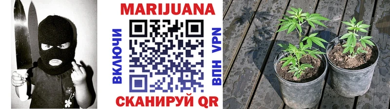 Канабис MAZAR Углич