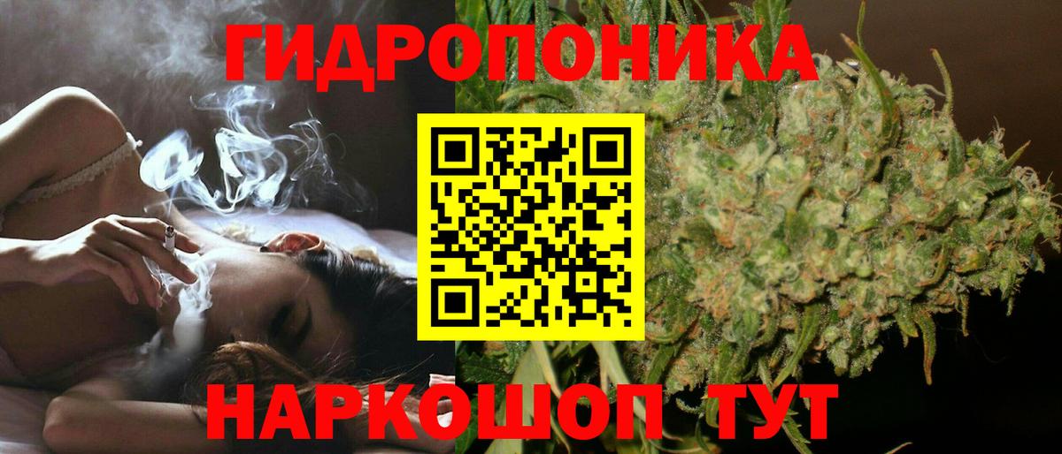 Бошки марихуана SATIVA & INDICA  МАРИХУАНА сатива  Углич  Вход с VPN  Каннабис сатива 